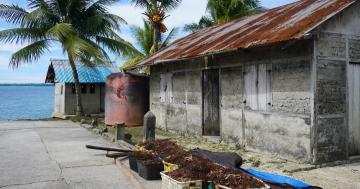 Rumput laut termasuk salah satu yang diproduksi desa Kolaha 