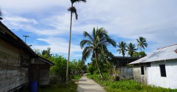 Kolaha di siang hari 