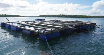 Penyimpanan untuk ikan yang berhasil ditangkap